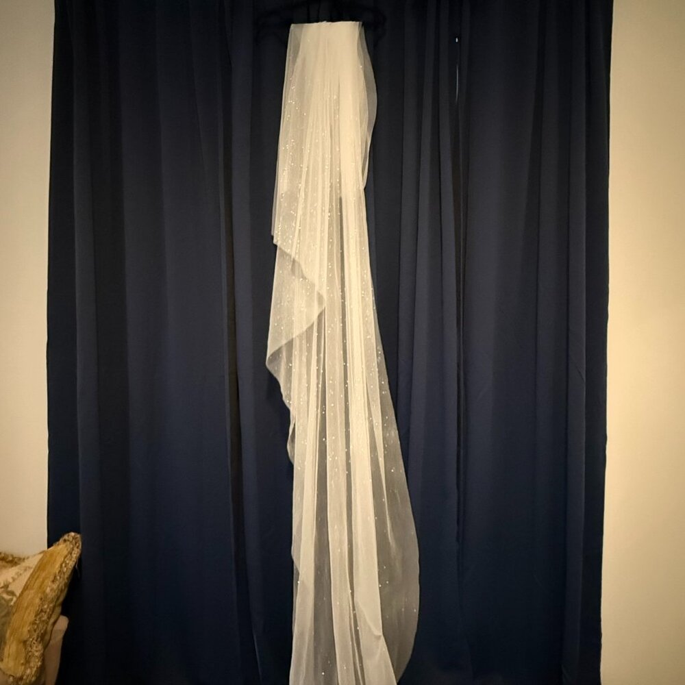 Elegant White Sparkling Hair Veil